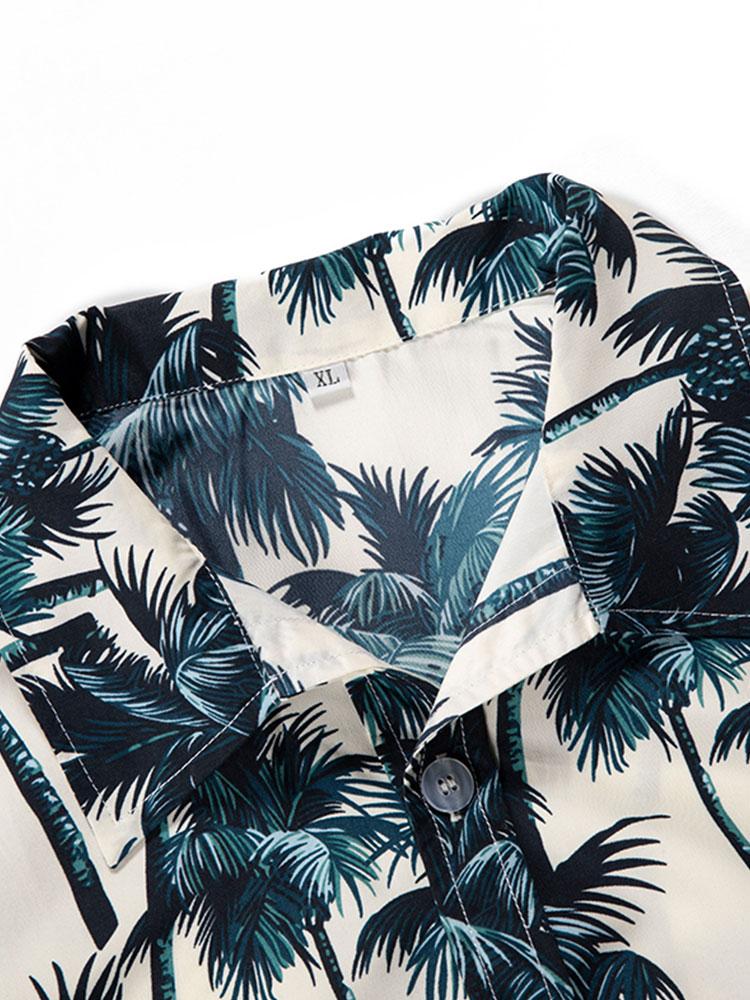 Zomer Set - Palms